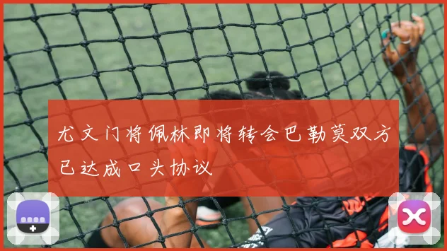 尤文门将佩林即将转会巴勒莫双方已达成口头协议