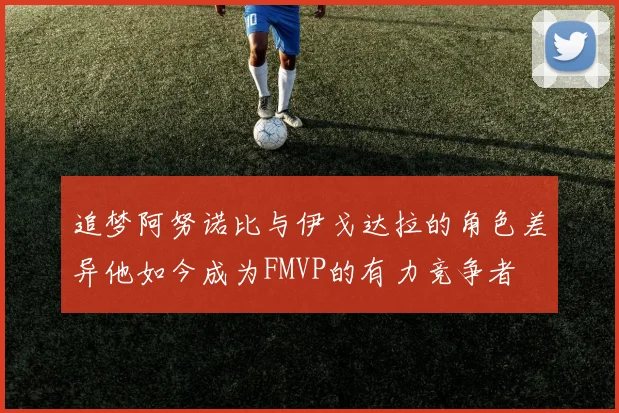 追梦阿努诺比与伊戈达拉的角色差异他如今成为FMVP的有力竞争者