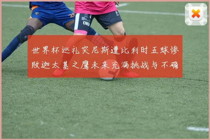 世界杯巡礼突尼斯遭比利时五球惨败迦太基之鹰未来充满挑战与不确定性
